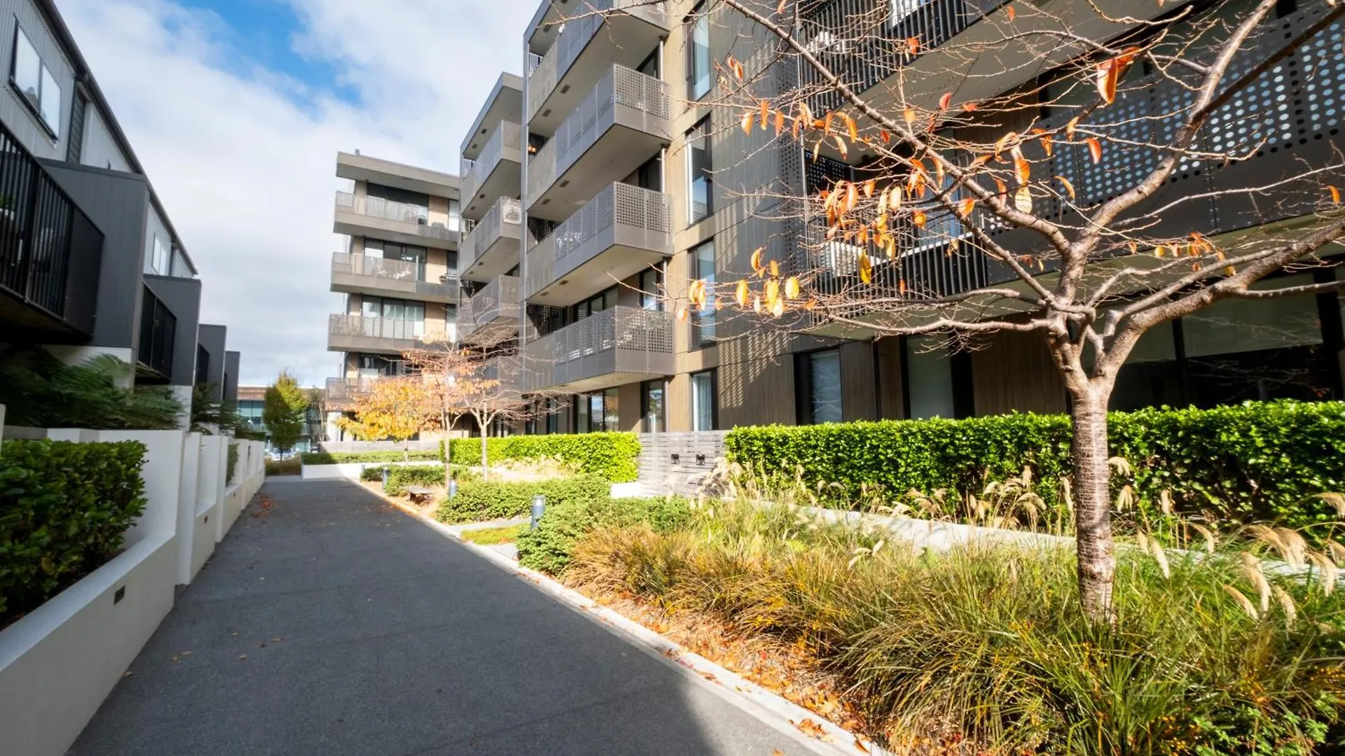 Modern, Ground Floor , Cbd, Free Parking, 2-3 Beds Apartment Christchurch