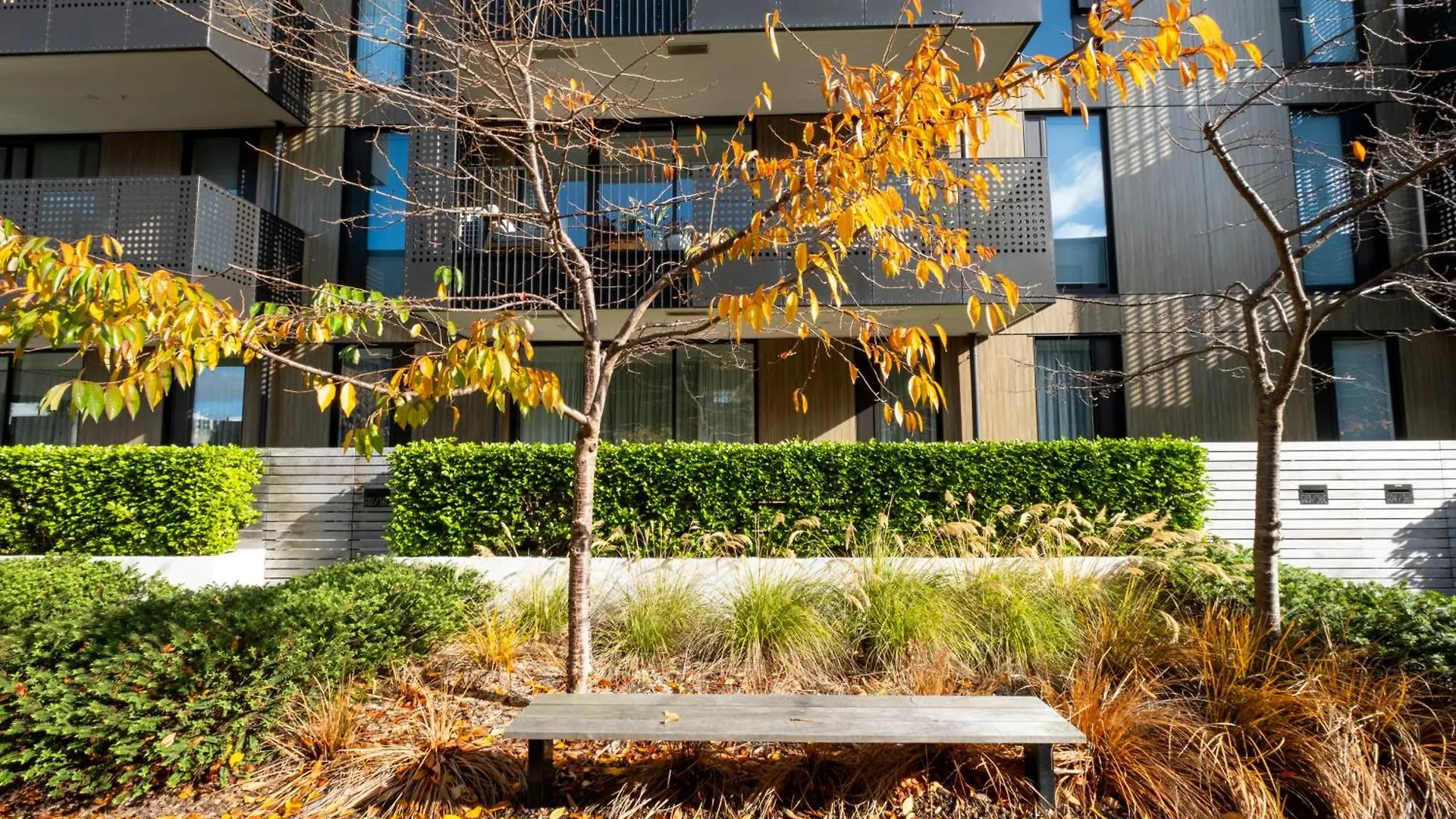 Modern, Ground Floor , Cbd, Free Parking, 2-3 Beds Apartment Christchurch New Zealand